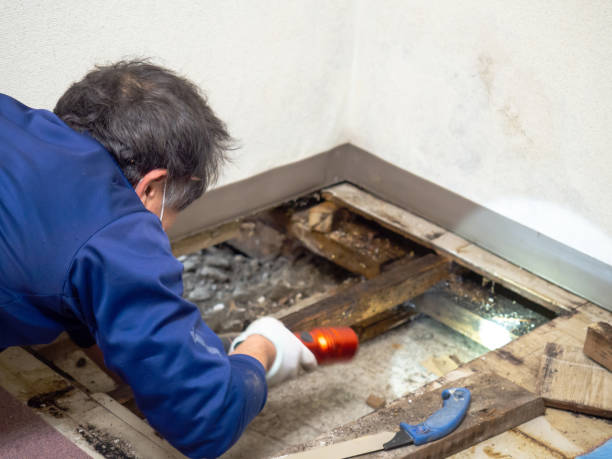 Crawl Space Mold Removal in Hydro, OK