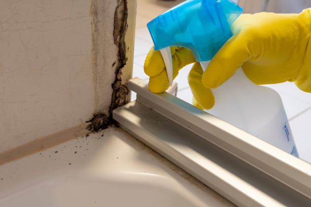 Best Toxic Mold Removal  in Hydro, OK