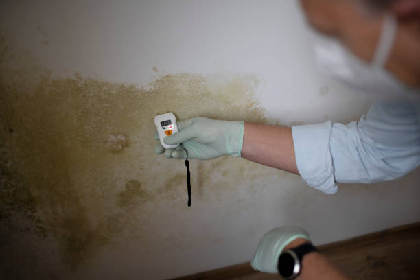 Best Residential Mold Removal  in Hydro, OK